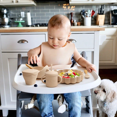 Baby Silicone Plate & Snack Cup Set with Suction, Spoon, and Bib