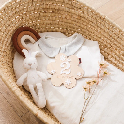 Flower Newborn Photography Props & Milestone Stickers